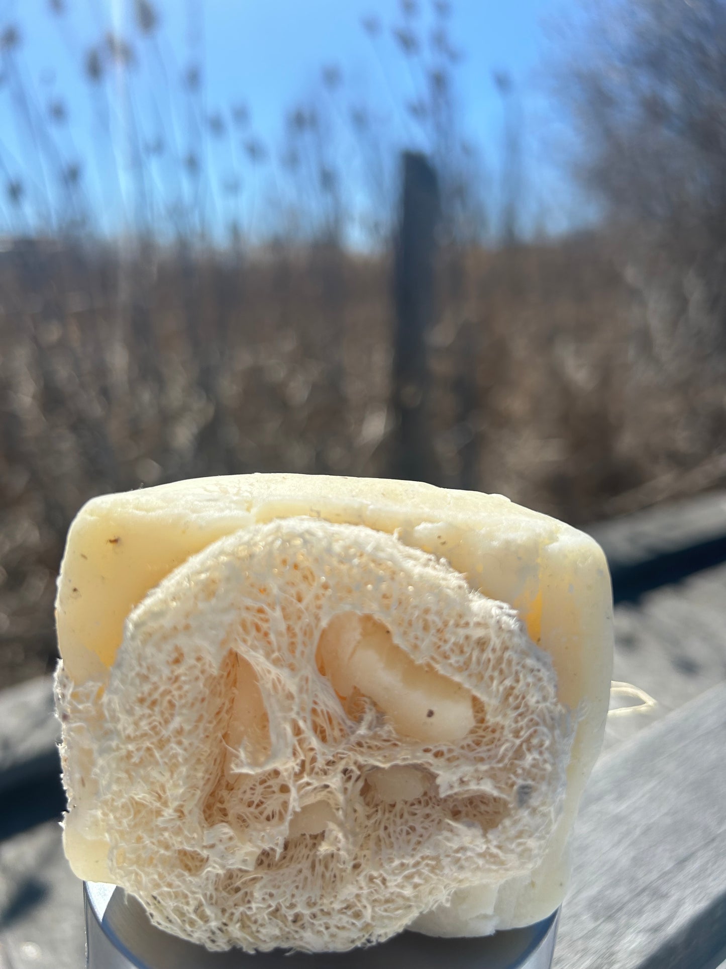 Loofah Tea tree Soap