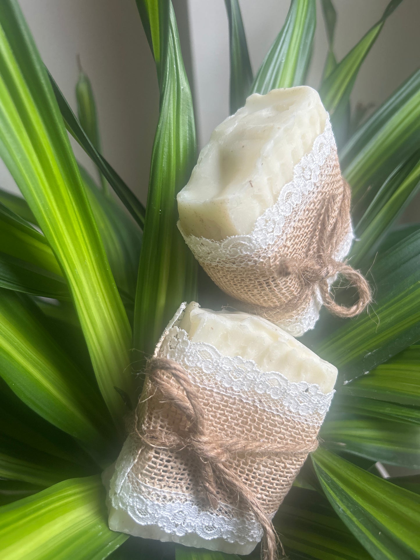 Soap Moringa & Vetiver