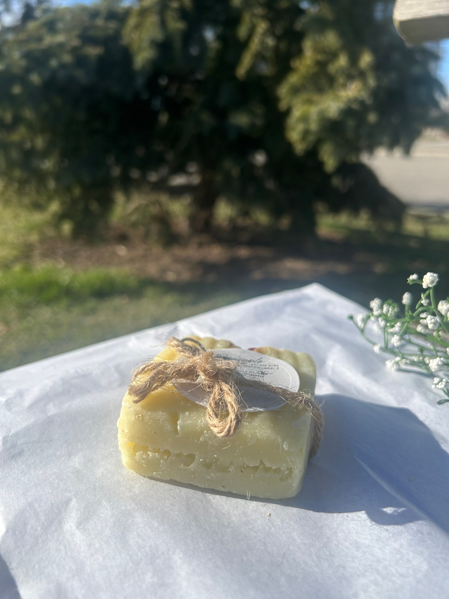 Pineapple Shea Butter Soap