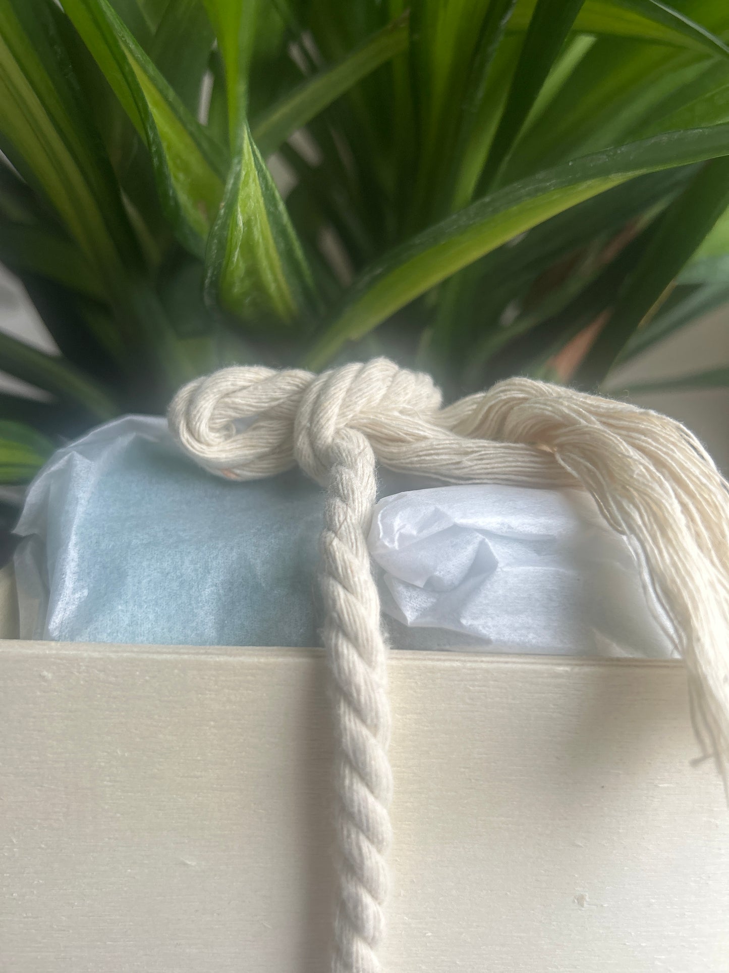 Rosemary Soap- Blue Ivy