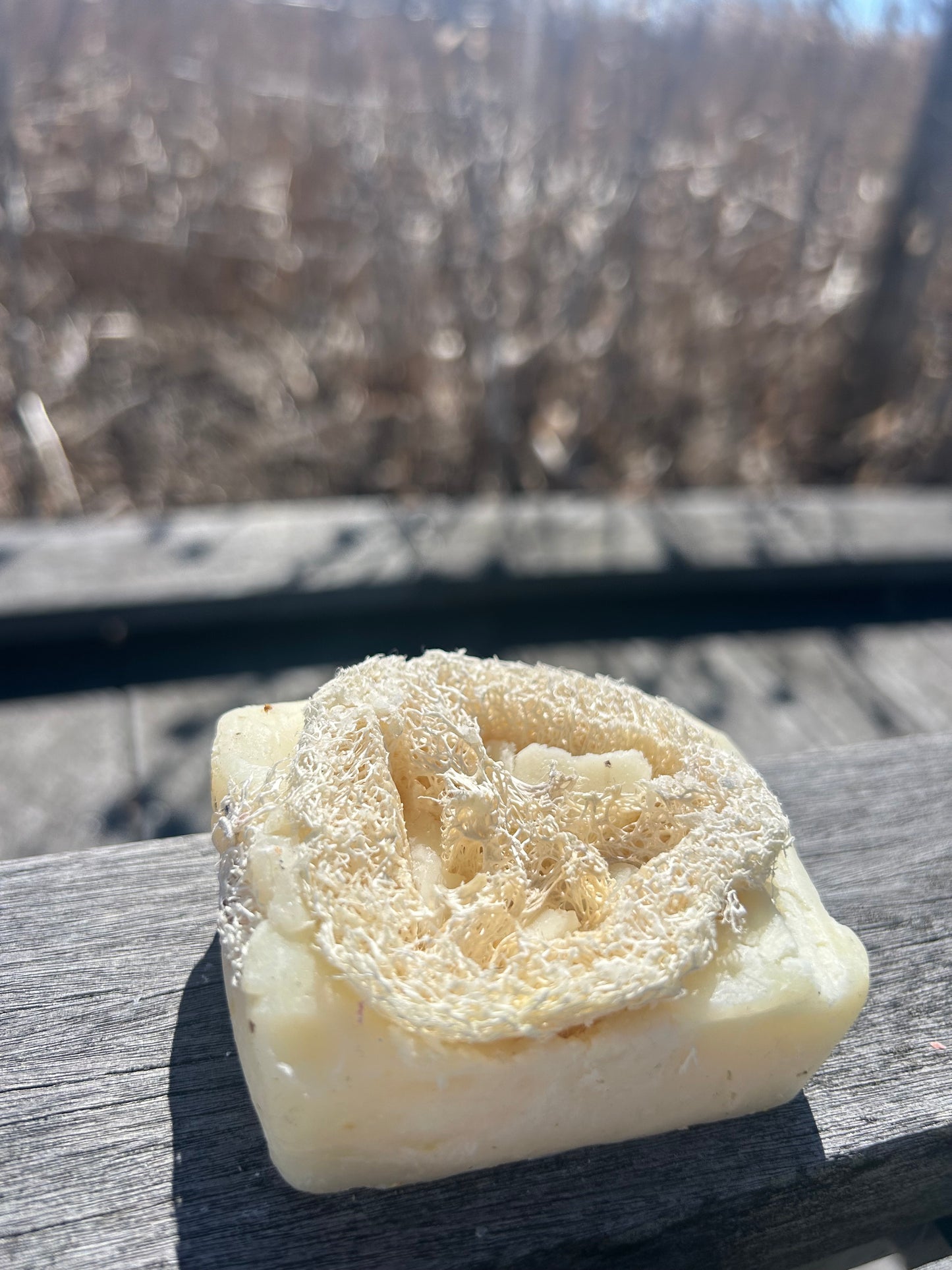 Loofah Tea tree Soap