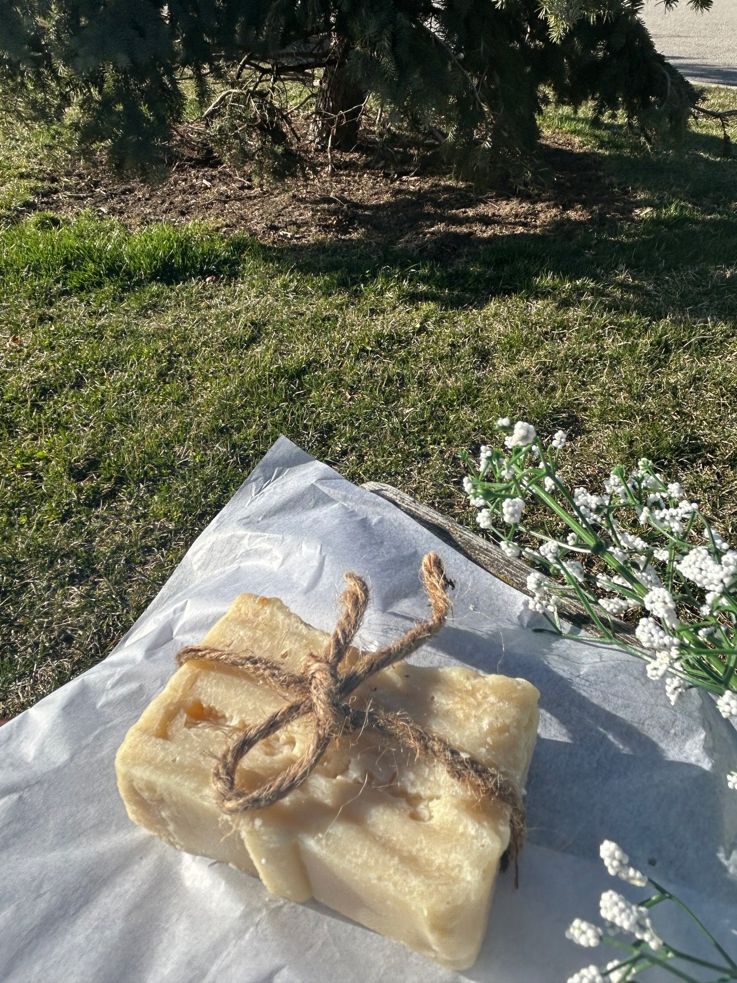 Pineapple Shea Butter Soap