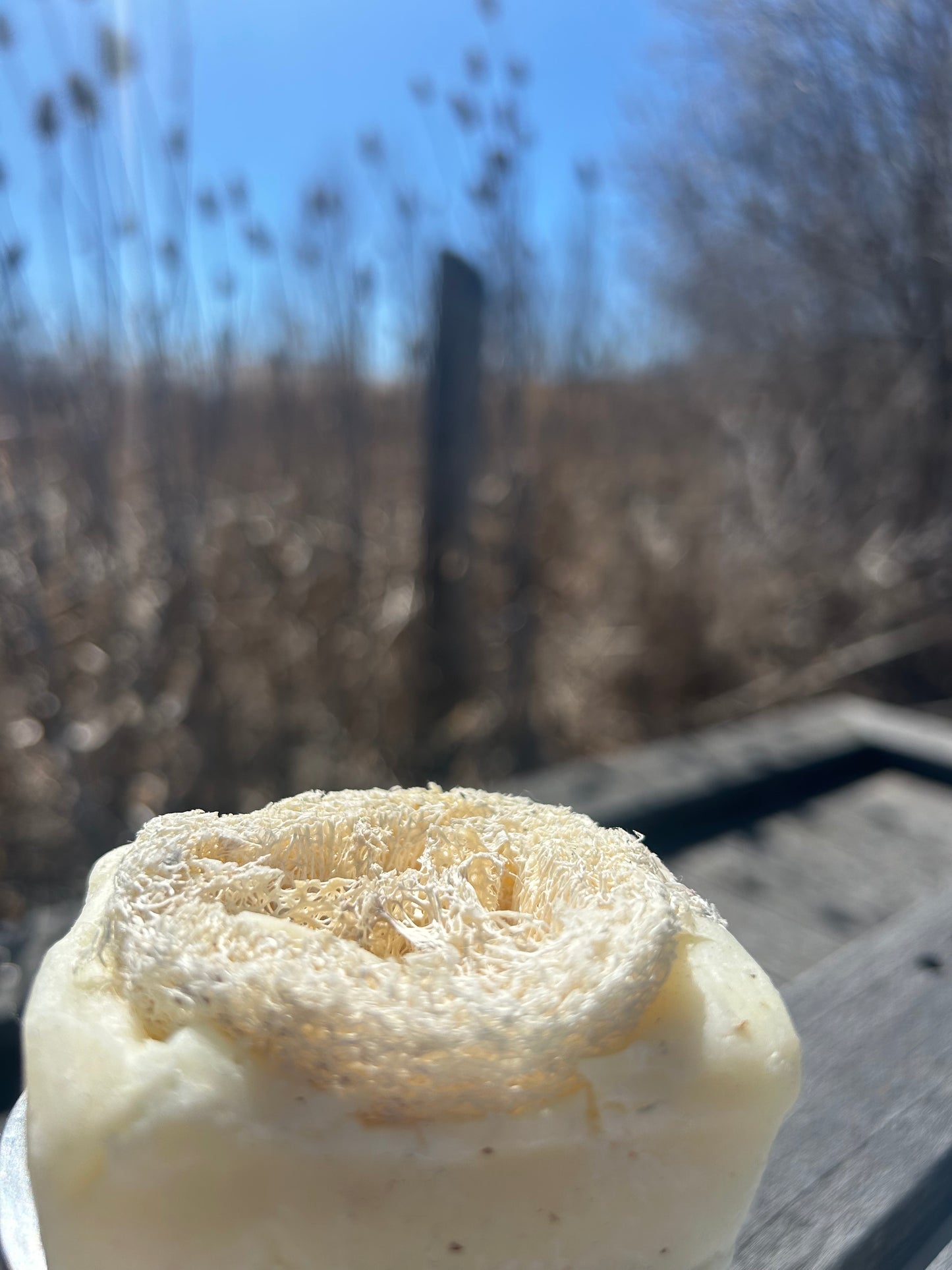 Loofah Tea tree Soap