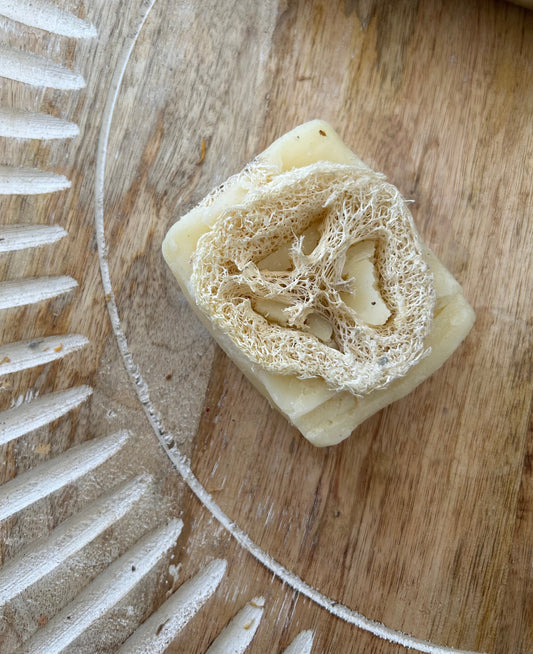 Loofah Tea tree Soap