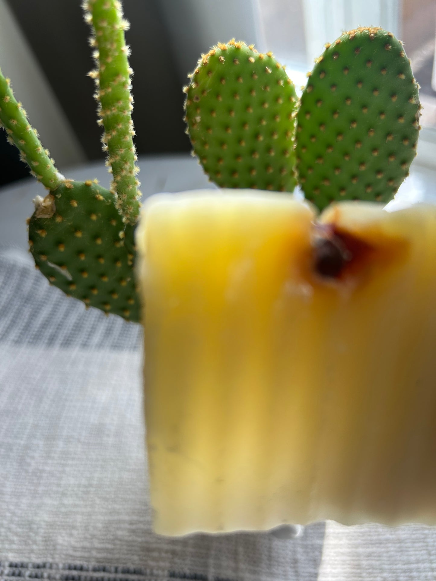 Pineapple Shea Butter Soap