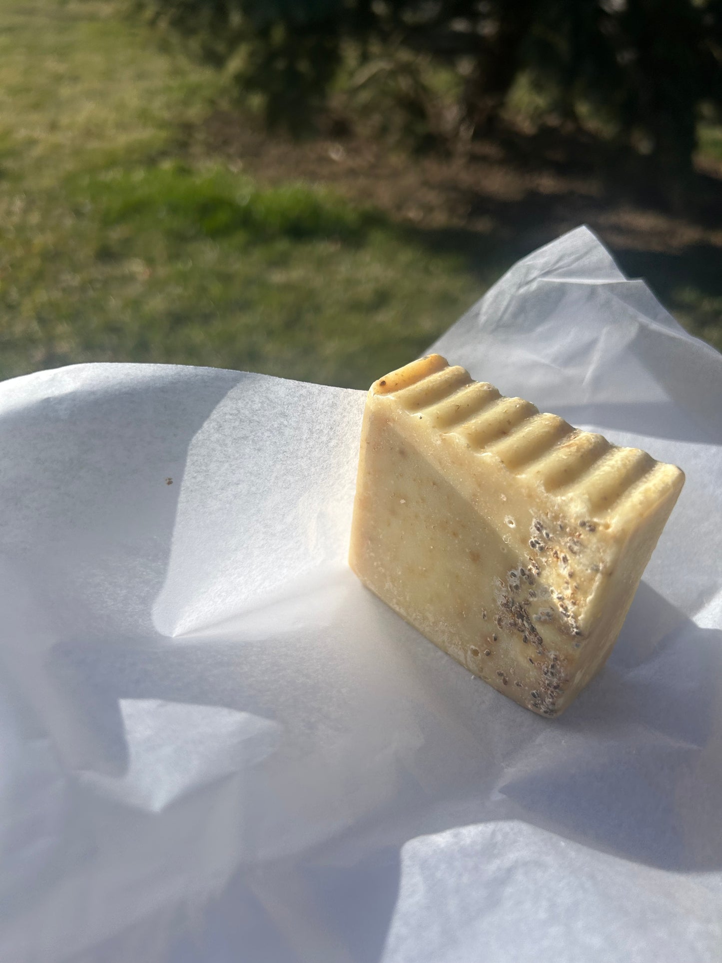 Soap Beer Poppy Seeds