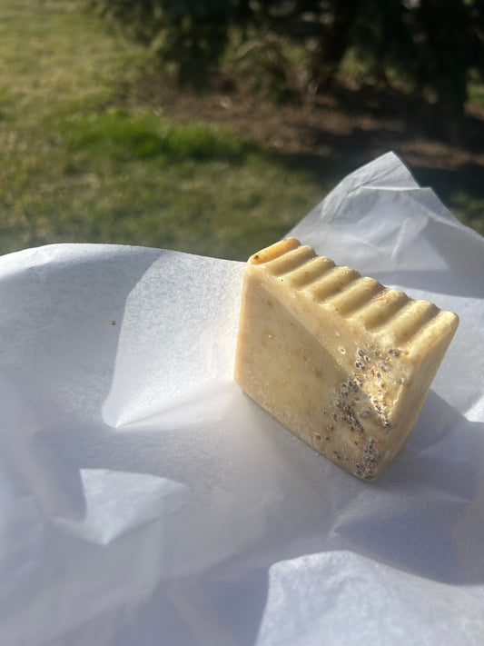 Soap Beer Poppy Seeds