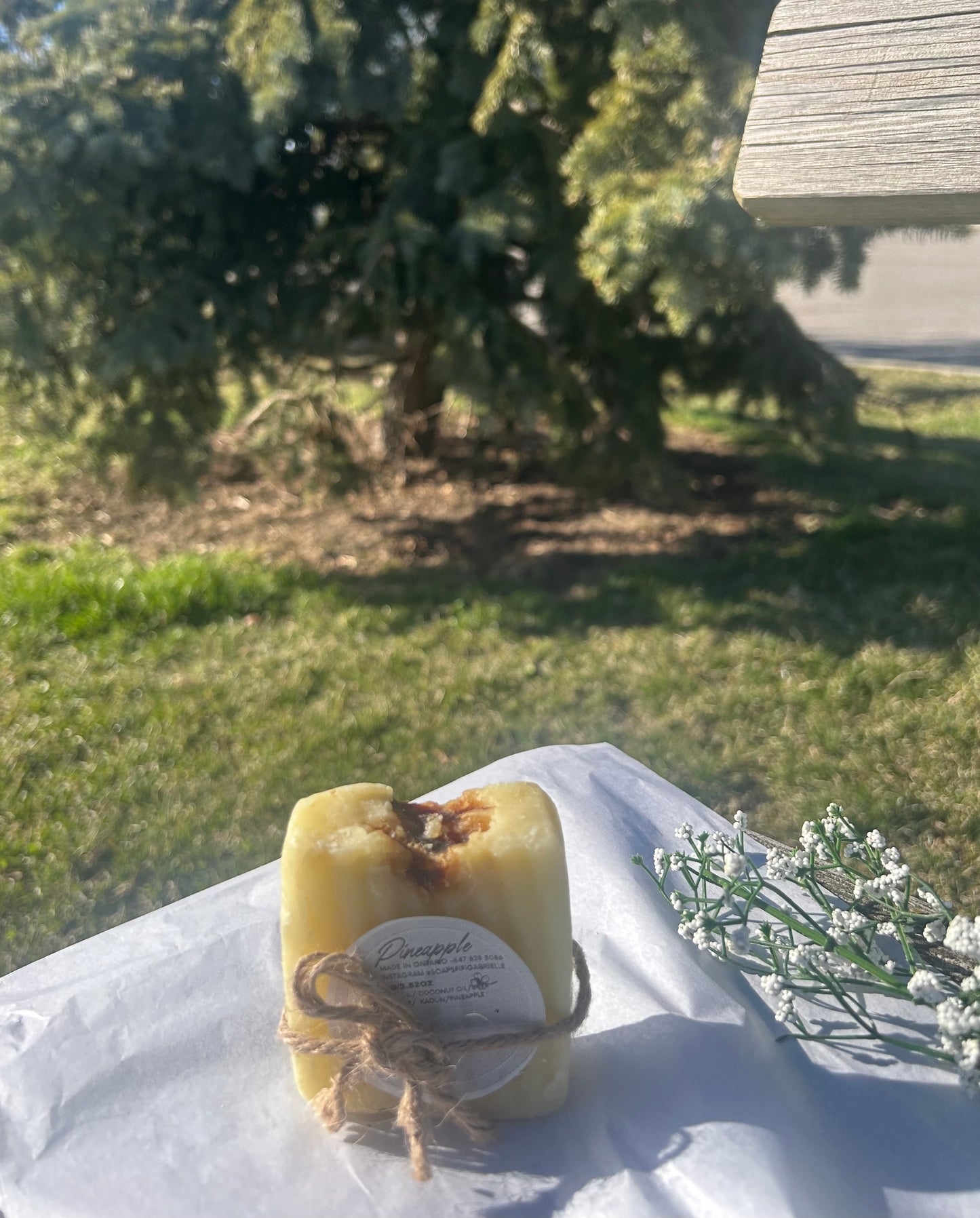 Pineapple Shea Butter Soap