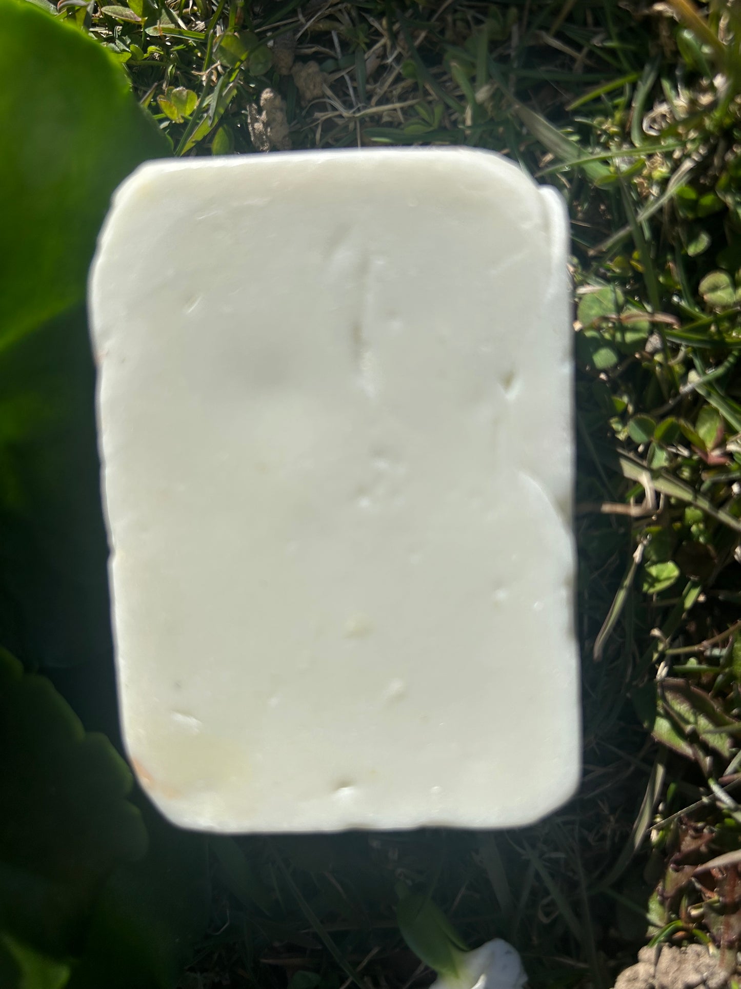 Shea Butter Soap (plain)