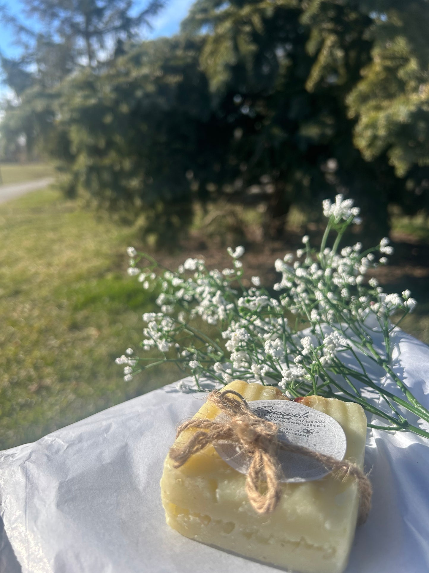 Pineapple Shea Butter Soap