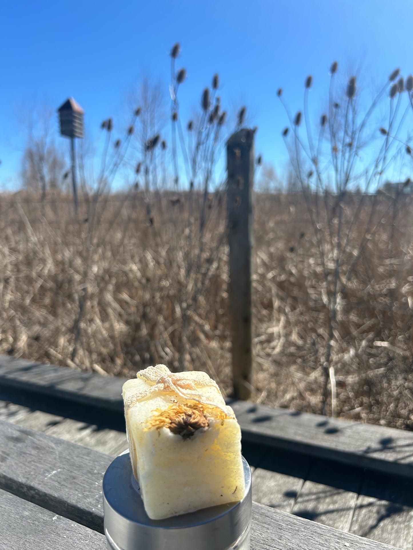 Calendula soap