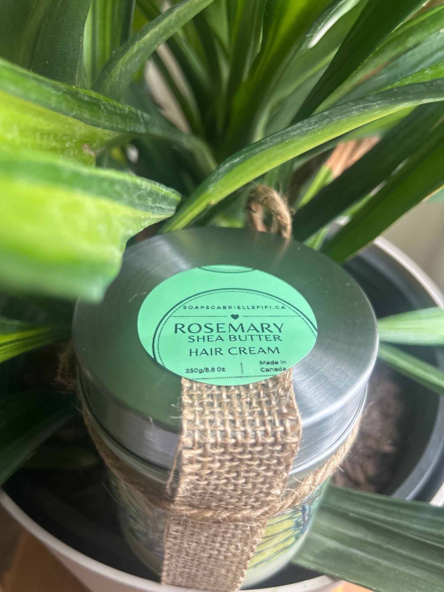 Hair Cream- Shea Butter