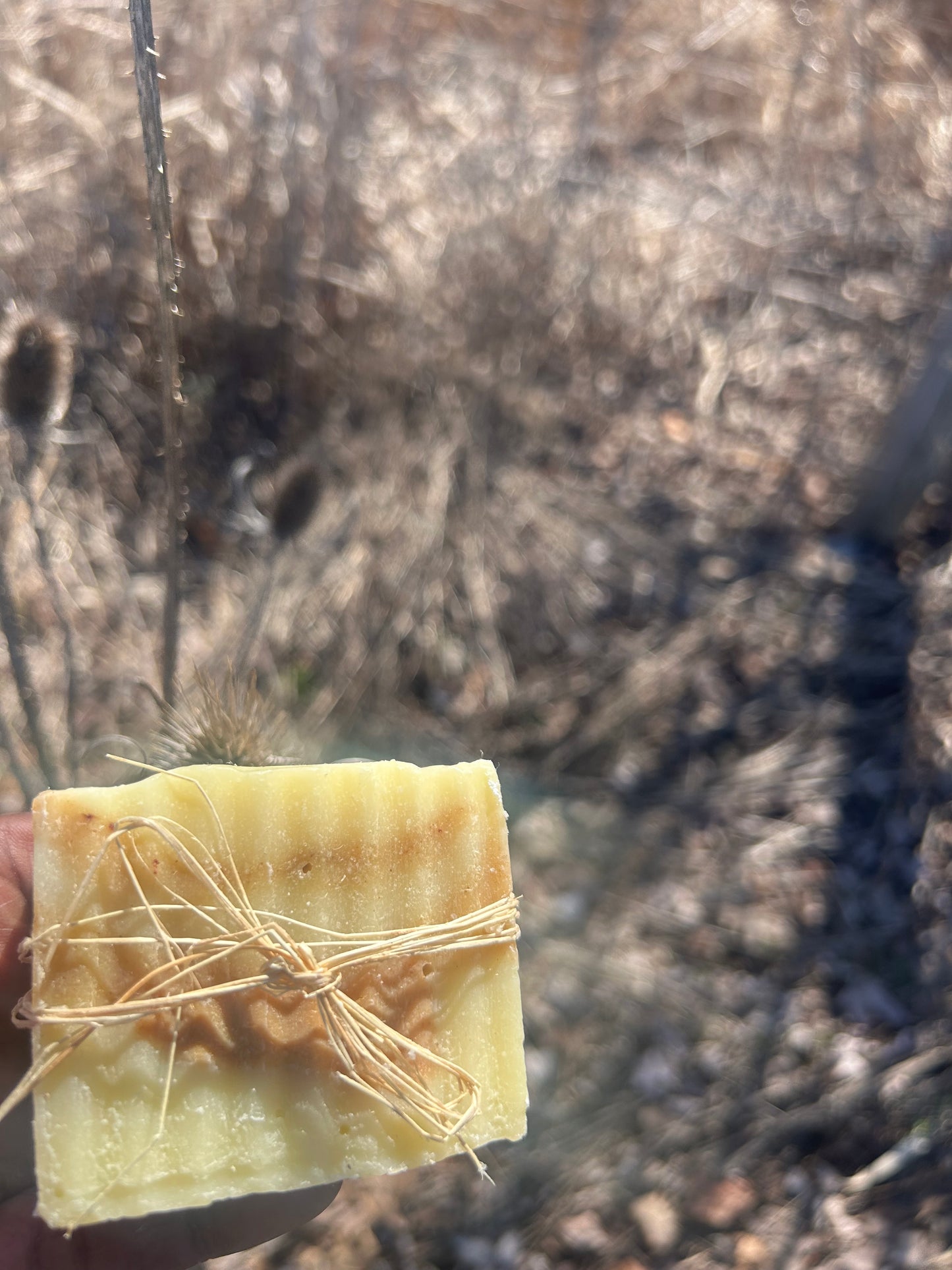 Tumeric Soap Bar/ Mix