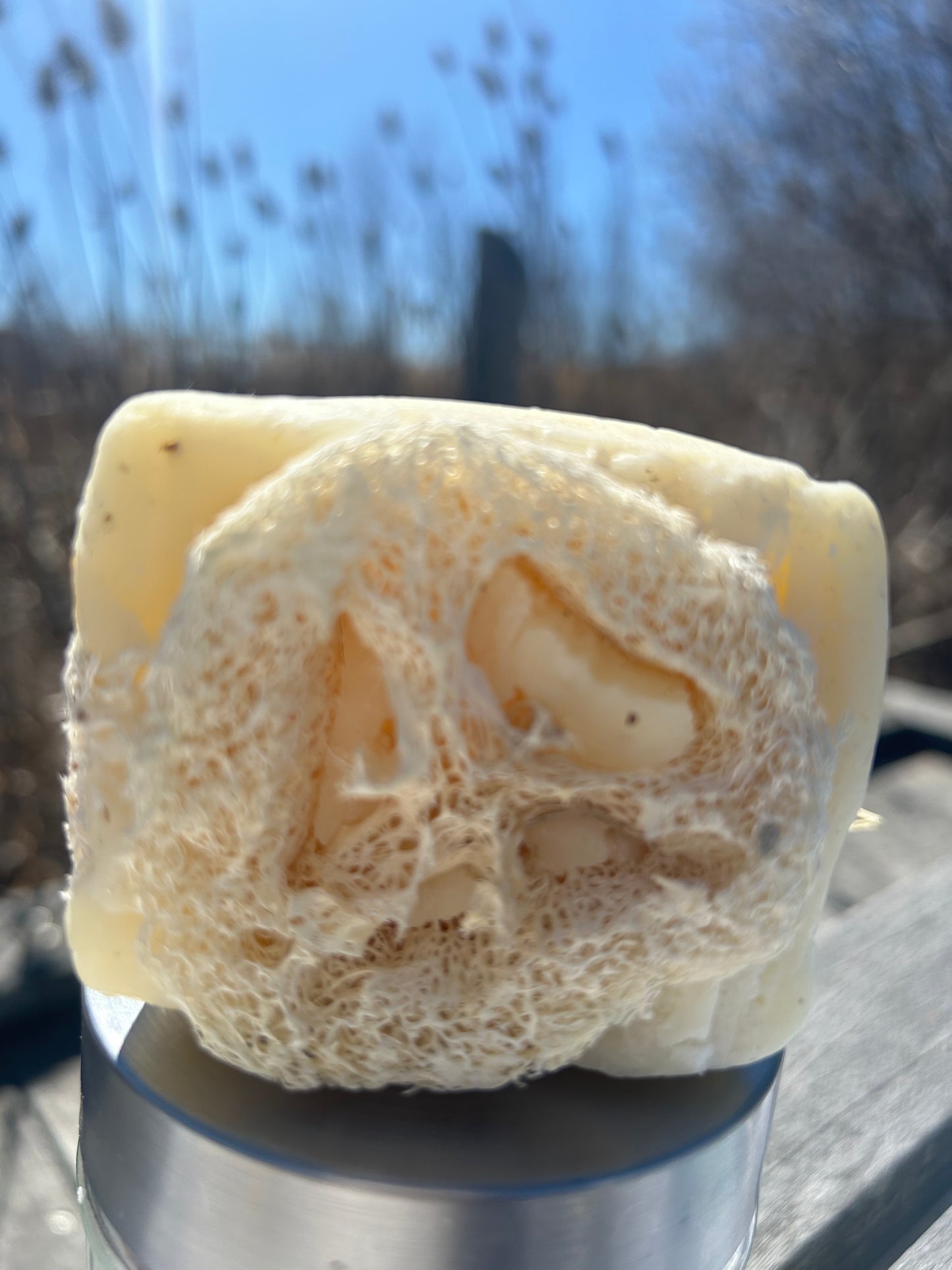 Loofah Tea tree Soap